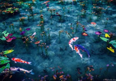 梅雨时节的日本，看起来就像是油画