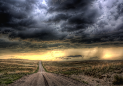 来自大自然的暴力美学