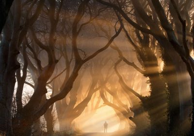 大自然是一个有思想的艺术家