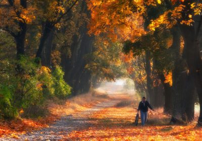 12_1200-5809144f6de48__880